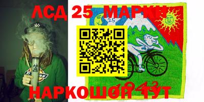 кокс Кандалакша