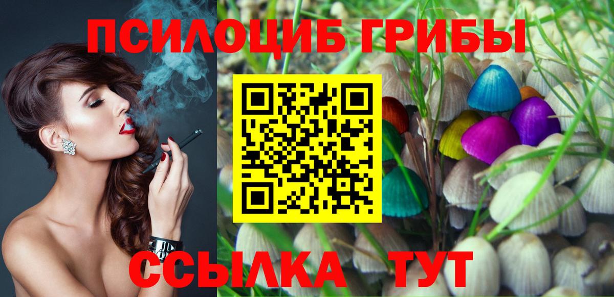 Псилоцибиновые грибы MAGIC MUSHROOMS  Вход с VPN  Коркино 